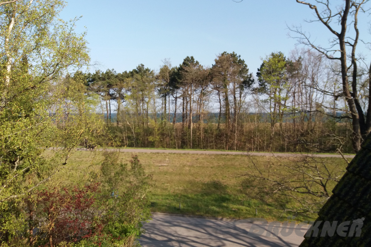 Darsser Hinterland