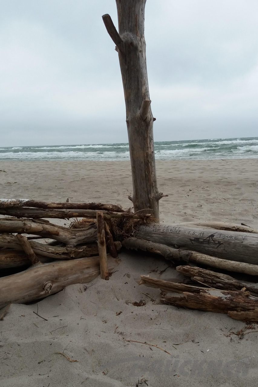 Darss / Weststrand