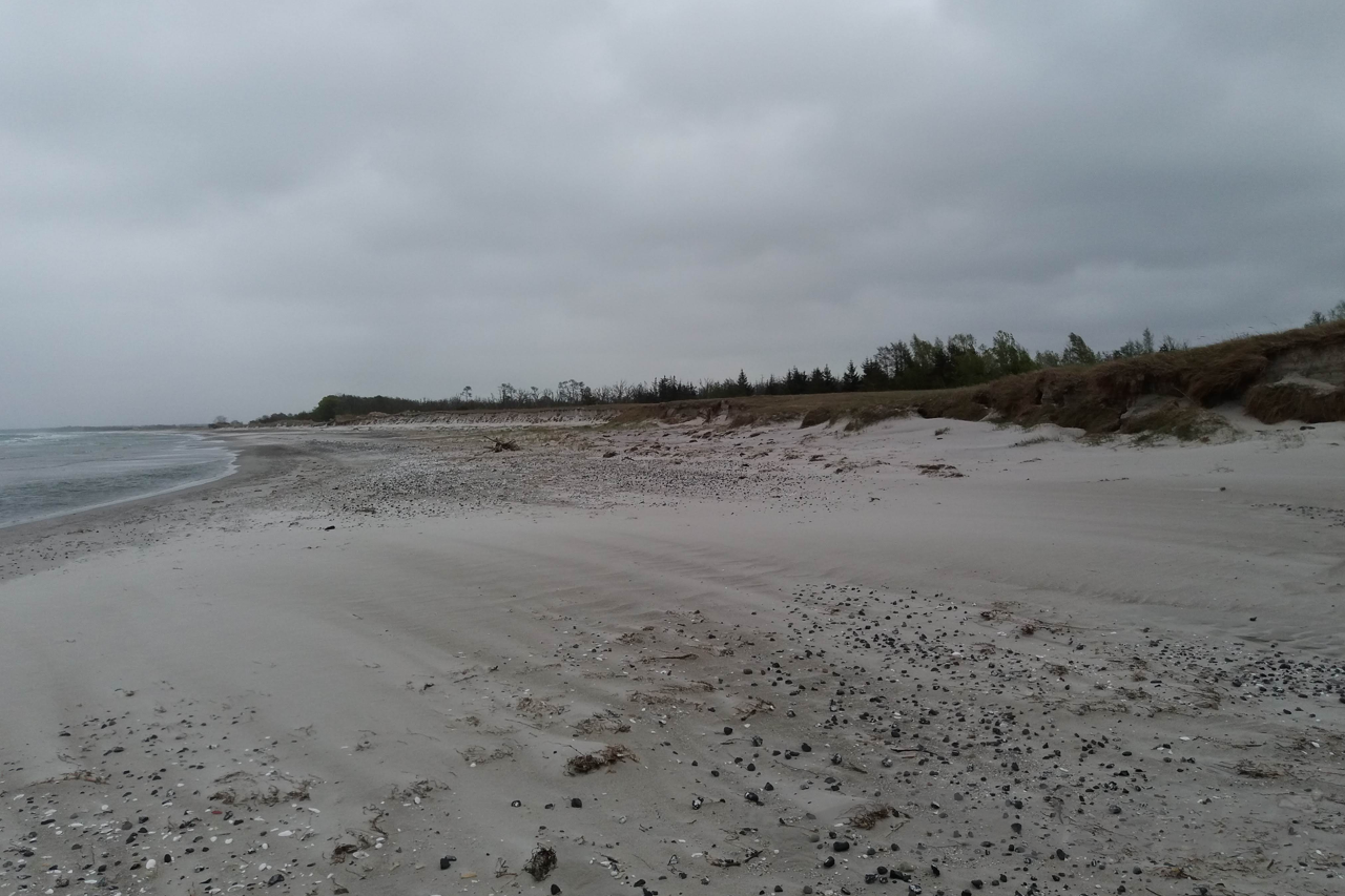 Darss / Weststrand